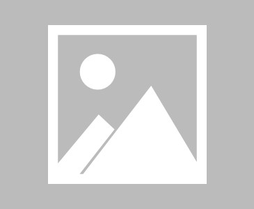 米乐官方网站- 多特蒙德新援首秀破门，客场力克沃尔夫斯堡  